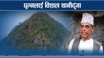 घना जंगलले घेरेको विशाल थानीढुंगा