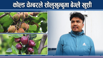 सोलुखुम्बुमा ५ कोल्ड चेम्बर, किसानहरुको मुहार उज्यालो