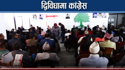 कांग्रेसमा महाधिवेशन भन्दा चुनावकै चटारो