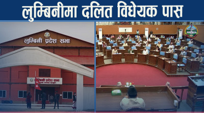 सबै स्थानीय तहमा सहजीकरण समिति गठन गरिने