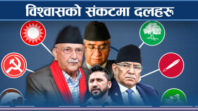 सत्ता र स्वार्थले दलीय दृष्टिकोणमै समस्याः कुन दल कस्ता ?