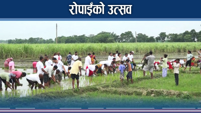 किसानलाई भ्याइ नभ्याई, गैरकिसानलाई रमाइलो