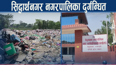 फोहोर व्यवस्थापन चुनौति बन्दै, सिद्धार्थनगरमा थुप्रियो फोहोरको डंगुर