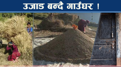 वस्ती रित्तिदै, खेतीबाली असरल्ल, ज्येष्ठनागरिक एक्लै