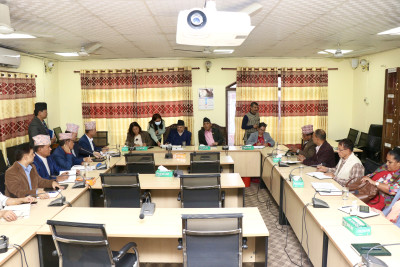 सभामुख बैठक : प्रदेश कानुनका व्यवस्था सङ्घीय सरकारले हटाउन नमिल्ने