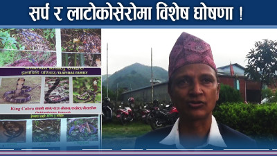 पोखरामा सर्प र लाटोकोसेरो वडा घोषणा, अनुसन्धान प्रर्वद्धन गरिँदै