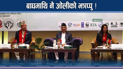 बाघ रोक्न प्रधानमन्त्रीले बुने योजना ! मानवजीवन रक्षाको अपेक्षा  