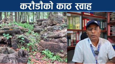 न स्थानीयलाई दाउरा न राज्यलाई राजश्व
