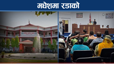 मधेसका मुख्यमन्त्रीले लिन पाएनन् विश्वासको मत, जनमतको आक्रोशदेखि अरु के भयो ?