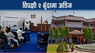 मधेशमा बजेटमा किचलो, विपक्षी एकजुट, फकाउँदै सरकार