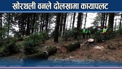 उहिलेको उजाड डाँडा, अहिले जिल्लाकै सान 