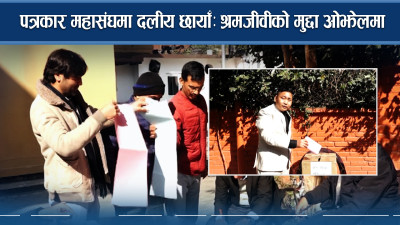 पत्रकार महासंघमा दलीय छायाँः श्रमजीवीको मुद्दा ओझेलमा