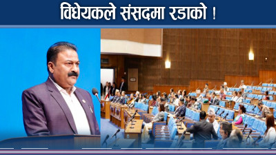 निजामति विधेयक कसैले च्याते, कसैले समाते ! कुलिङ पिरियड के ? 