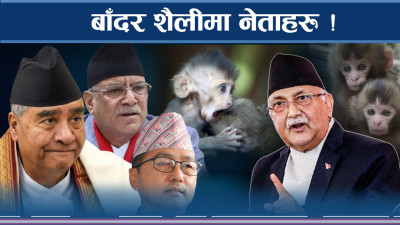 केपी ओली रिसले चुरचुर ! नेताहरु भन्दा बाँदर उत्तम !