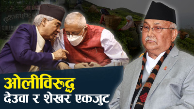 गल्ती स्वीकार्न ओलीलाई आपत्ति किन ? शेखरले भने– ‘धम्कीले डराउँदैनौँ’