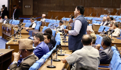 'उच्चस्तरीय कूटनीतिक माध्यमबाट नेपाली भूमिको रक्षा गर्न माग