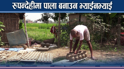 तिहारले पाला व्यवसायी बेफुर्सदिला, उठेदेखि काममै व्यस्त