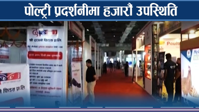 पोल्ट्री प्रदर्शनीले चितवन भरिभराउ, होटल व्यवसायमा रौनक