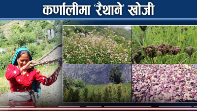 परम्परागत र रैथाने खाद्य सामग्रीको माग बढ्यो