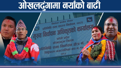 अनुभवी नेता बाहिरिए, नयाँ अनुहारको बाढी