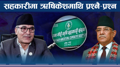 लेखा समिति बैठकमा सभापति ऋषिकेशमाथि प्रश्नै प्रश्न  