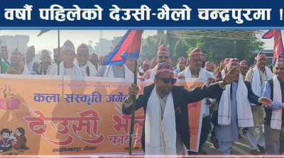 मौलिक देउसी–भैलोको दुर्लभ झलक ! चन्द्रपुरवासी संरक्षण अभियानमा