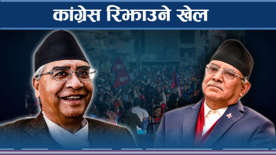 प्रचण्ड–प्रचण्डको आ–आफ्नै दाउ