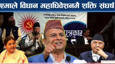 फरकमत राख्नेलाई ओलीले डण्डा चलाउने, विद्या समूहको अर्कै दाउ