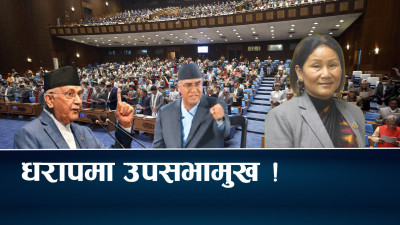 कांग्रेस–एमालेको स्वार्थमा हटाइँदै उपसभामुख  