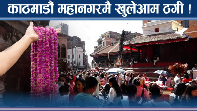काठमाडौंमा फूलमै कालोव्यापार ! उज्यालो तिहारमा खुलेआम ठगी !