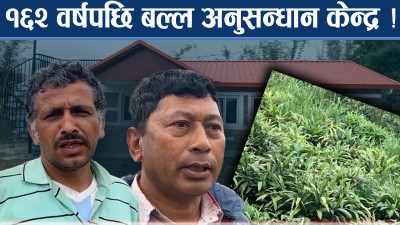 इलाममा चिया तथा अलैची अनुसन्धान केन्द्र बन्दै