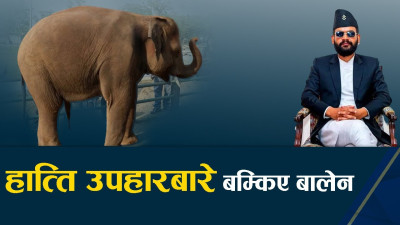 सामाजिक संजाल प्रयोगकर्ताहरुको बहकाब, तथ्यहीन हात्तिको ‘भिडियो भाइरल’