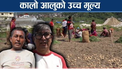 परम्परागत खेती छोड्दै थाहाका किसान, तरकारीबाट लोभलाग्दो आम्दानी