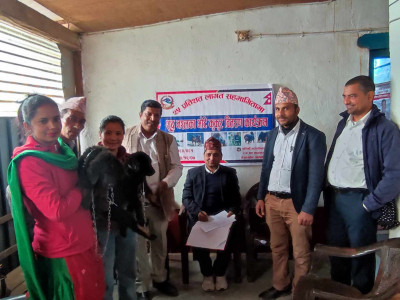 अर्घाखाँचीमा बाली जोगाउन भोटे कुकुर वितरण