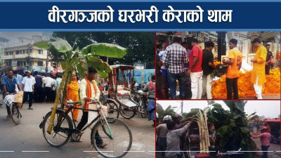 लक्ष्मी पूजामा वीरगञ्ज धपक्कै, फूल र केराको व्यापार उच्च