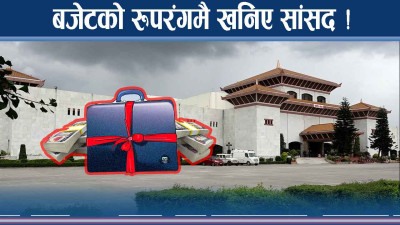 बजेटको तयारीमै अनेक प्रश्न ! सांसदहरुले घेरा हाले !
