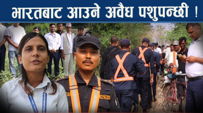 खुला सीमाबाट अवैध आयात : नेपाली किसान र व्यवसायी संकटमा