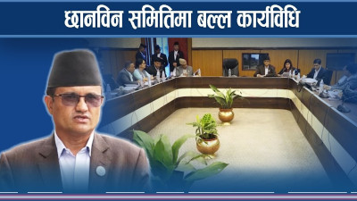 सहकारी ठगी छानबिन समितिले बनायो कार्यविधि