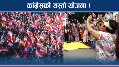 सदनबाट सडकमा कांग्रेसः सरकारलाई चार सुझाव