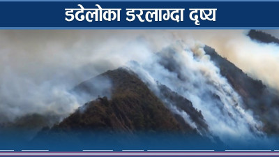 ज्यानमारा डढेलो, करोडौं स्वाह ! (भिडियो)