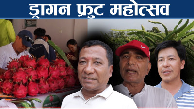 ड्रागन फ्रुट प्रवद्र्धन गर्न हेटौंडामा ३ दिने महोत्सव