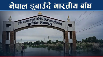 वर्सेनी तराई–मधेसको पीडा, भारतको कारण डुम्दै नेपाली भूमि