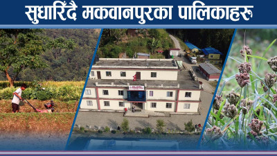 मकवानपुरका युवा सुधार आउँदै, गाँजा–अफिम छोडेर खेतीबालीमा