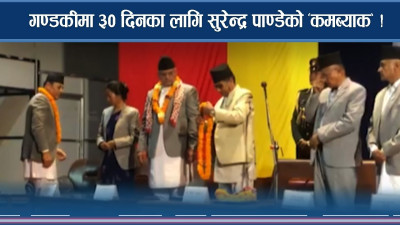 गण्डकीमा ३० दिनका लागि सुरेन्द्र पाण्डेको ‘कमब्याक’ !