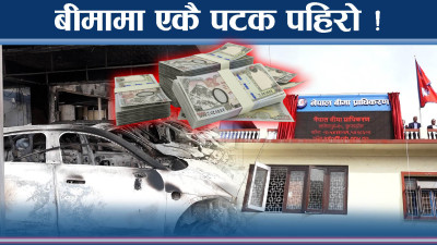 बीमा कम्पनीहरु एकैपटक प्रेसरमा ! पैसा माग्नेको घुँइचो !