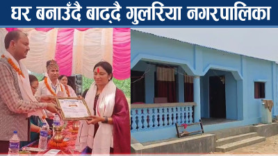 गुलरियाका बाढी पीडितले घर पाउन थाले