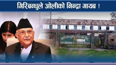 गिरिबन्धुले ओलीको  निद्रा गायब , फसाउन के बन्दैछ योजना ?