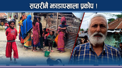 सप्तरीमा झाडापखालाको डरलाग्दो रुप ! तीनको मृत्यु ! विरामी बढ्दै !