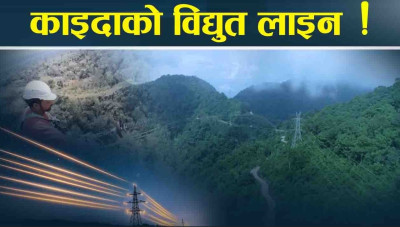 फाइदाको नयाँ बाटो ! यसरी फस्टाउने छ व्यापार !
