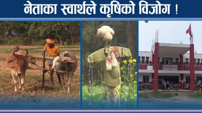 नेताहरुको खेलाँचीले सम्भावना खेर ! हेर्दा राम्रो अवस्था, कृषिमा वेवास्ता